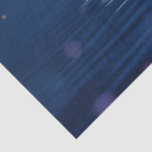 月明かりの中で白鳥を食べる 薄葉紙 (詳細)