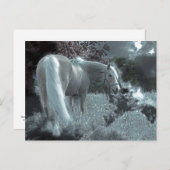 月明かりの中で馬が放牧 ポストカード (正面/裏面)