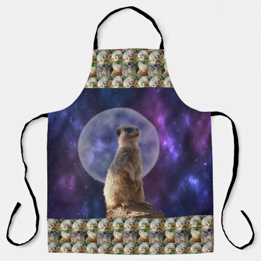 月明かりの中のメルカット エプロン (正面)