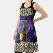 月明かりの中のメルカット エプロン (インサイチュ)