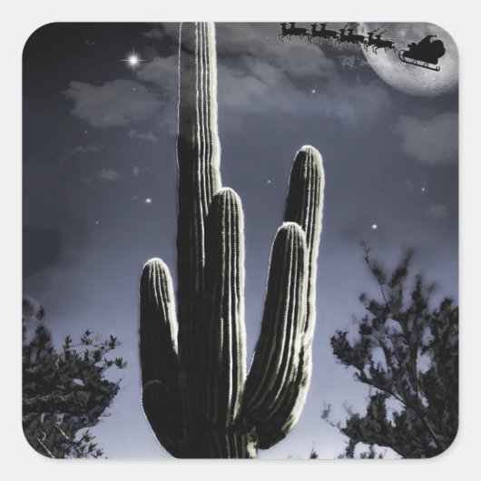 月明かりの中の武装した砂漠のSaguaro 5 スクエアシール (正面)