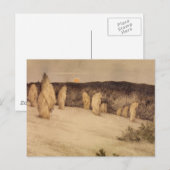 月明かりの中の穀物の茎 ポストカード (正面/裏面)