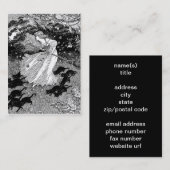 月明かりの中の魔女と黒猫 名刺 (正面/裏面)