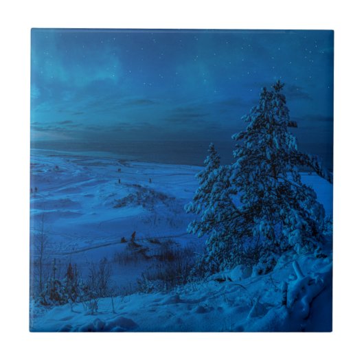 月明かりの冬の海の海岸 タイル (正面)