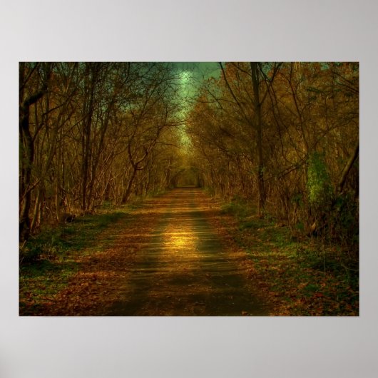 月明かりの散歩 ポスター (正面)