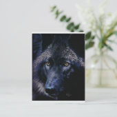 月明かりの狼(a) ポストカード (スタンド正面)