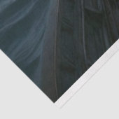 月明かりの空の下にある恐ろしい海賊の女性 薄葉紙 (詳細)