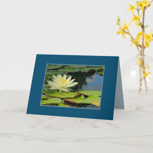 月明かり黄色の蓮の花/仏引用文 カード (黄色い花)