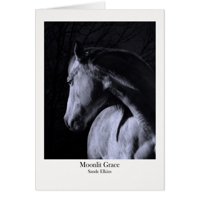 月明りの優美 (正面)