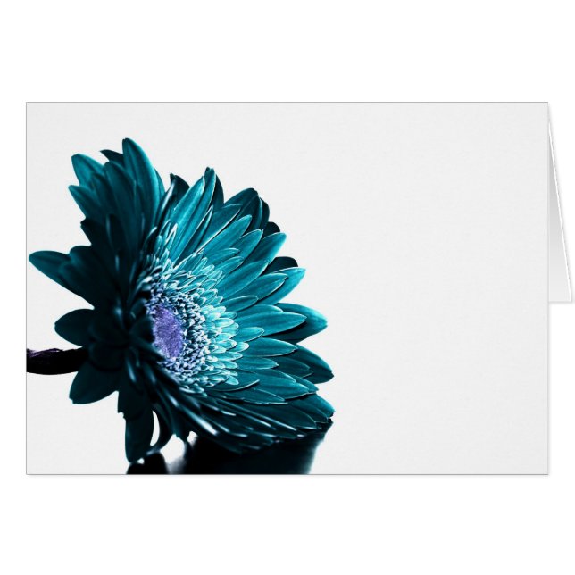 月明りの夜 (正面横)