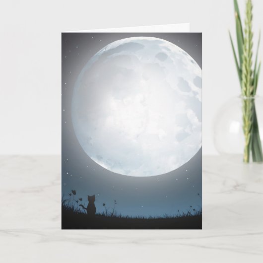 月明考えかりの中の子猫 カード (正面)