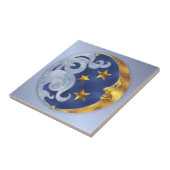 月星 タイル (側面)