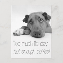月曜日が多すぎる、コーヒーが足りない – Sleepy Dog ポストカード