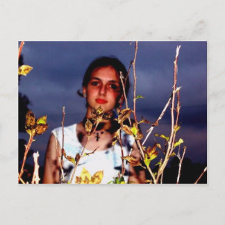 月桂樹はがき1 ポストカード