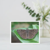 月次インテンションはがき ポストカード (スタンド正面)