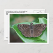 月次インテンションはがき ポストカード (正面/裏面)