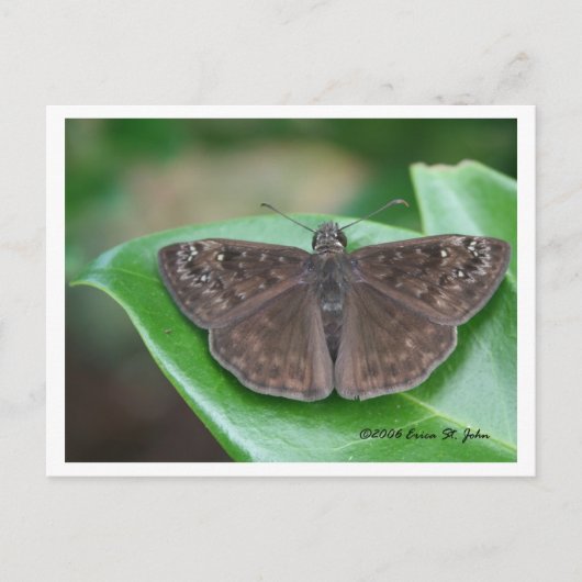 月次インテンションはがき ポストカード (正面)