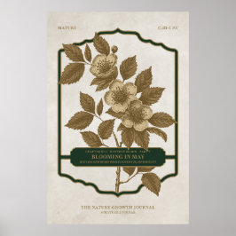 月次開花- 5月誕生フラワーギフトポスター2 ポスター