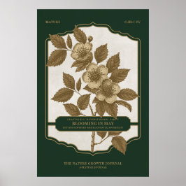 月次開花- 5月誕生フラワーギフトポスター ポスター