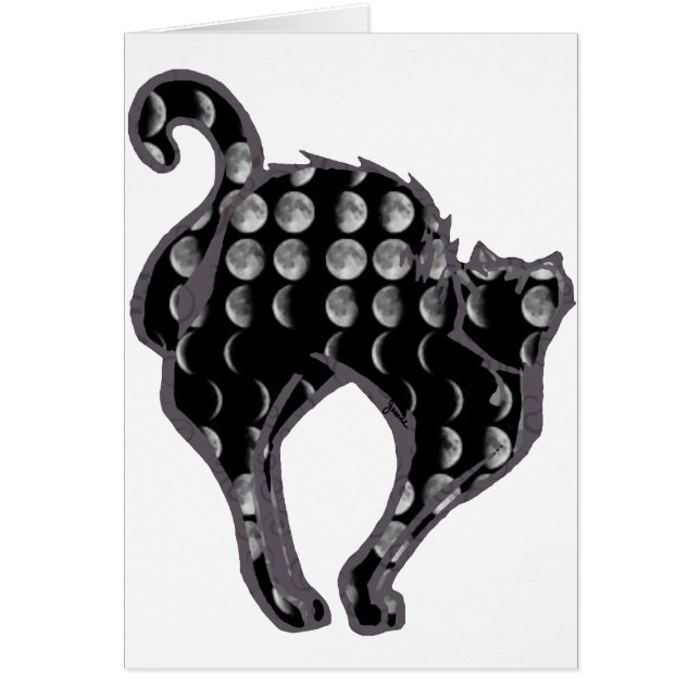 月段階の子猫 (正面)