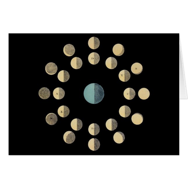 月段階 (正面横)