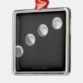 月段階 メタルオーナメント (左)