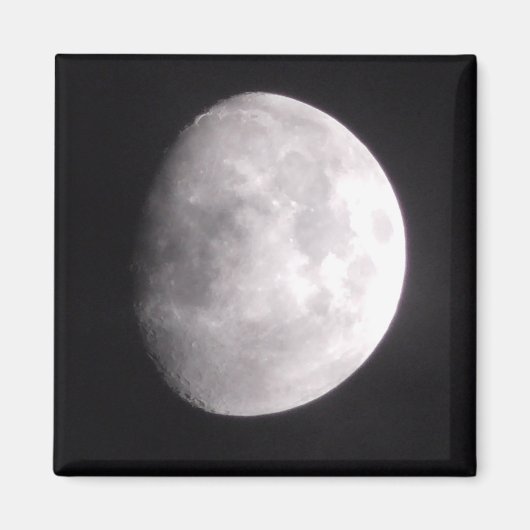 月相冷凍機 マグネット (正面)