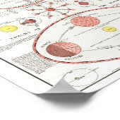 月相図グラフ天系太陽のCAN ポスター (角)