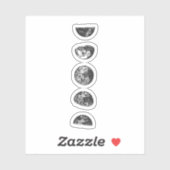 月相 シール (シート)