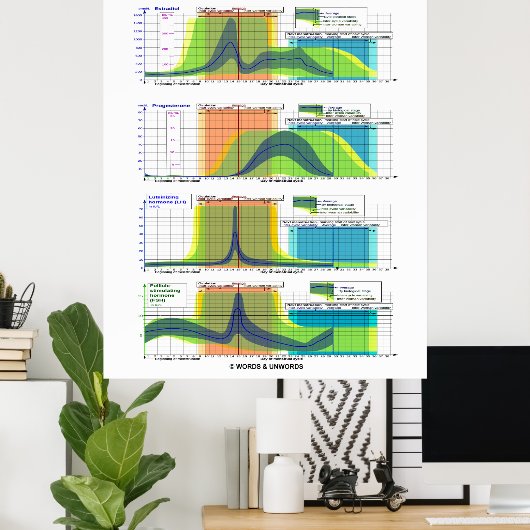 月経周期の月経ホルモン ポスター (ホームオフィス)