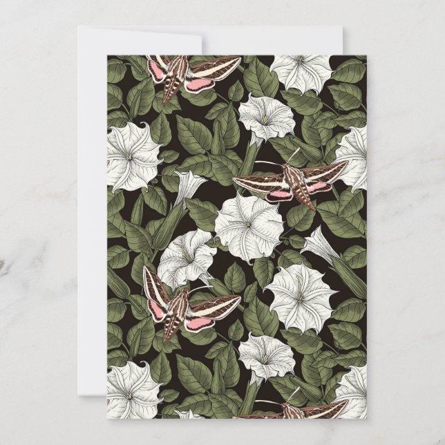 月花とスフィンクスの蛾 (正面)