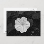 月花はがき ポストカード (正面/裏面)