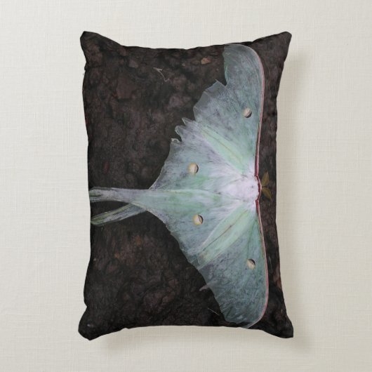 月蛾自然蝶フェアリーファンタジー夢 アクセントクッション (正面(垂直))