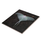 月蛾自然蝶フェアリーファンタジー夢 タイル (側面)