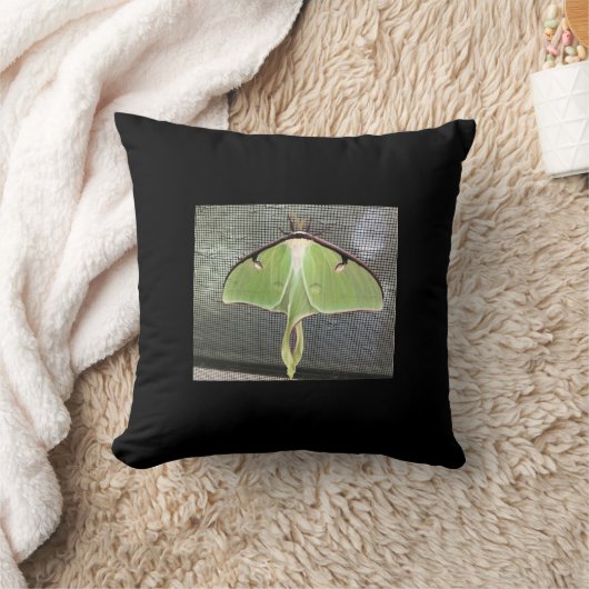 月蛾 クッション (ブランケット)