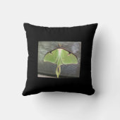 月蛾 クッション (裏面)