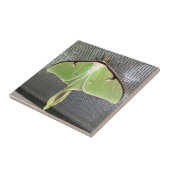 月蛾 タイル (側面)