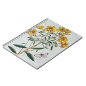 月見草は、「コレクションPrecieからの73をめっきします ノートブック (左側)