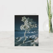 月霜の降りたのクレーターの木と雪 カード (正面)