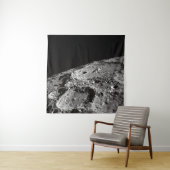 月面写真 タペストリー (インサイチュ)