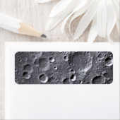 月面 ラベル (インサイチュ)