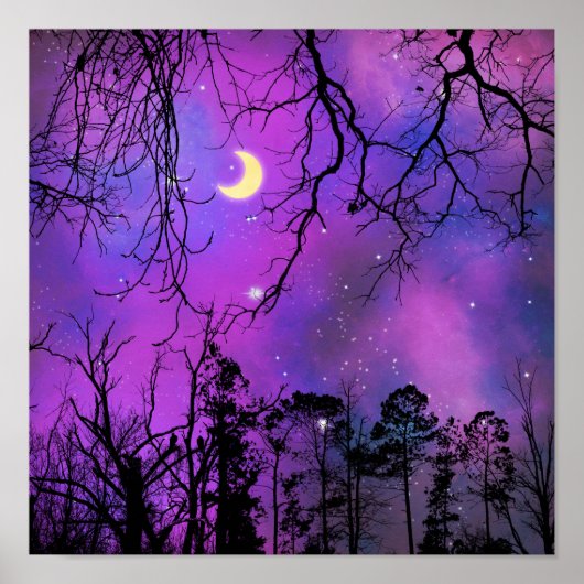 月面、月面の恋人、銀河系、男性と女性、宇宙 ポスター (正面)