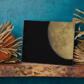 月額 フォトプラーク (側面)