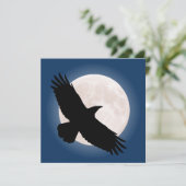 月飛んでいるが後ろで輝く (スタンド正面)