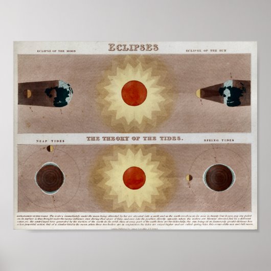 月食太陽のプリント ポスター (正面)