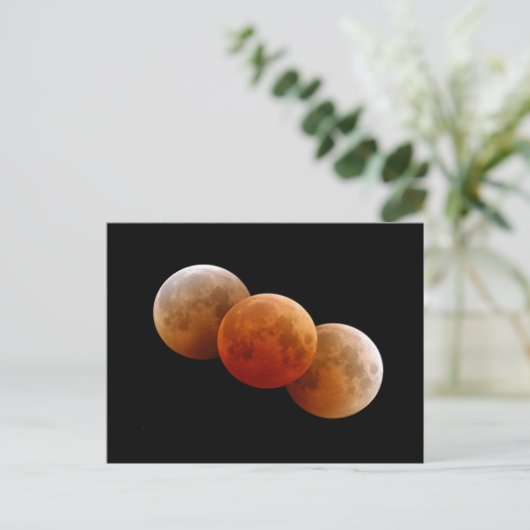 月食 ポストカード (スタンド正面)