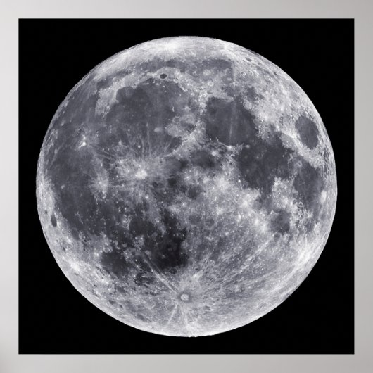 月 ポスター (正面)