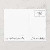 月 ポストカード (裏面)