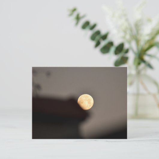 月 ポストカード (スタンド正面)