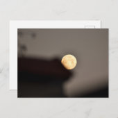 月 ポストカード (正面/裏面)